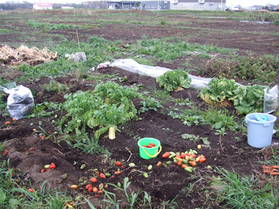 1102第２ファーム撤収の朝