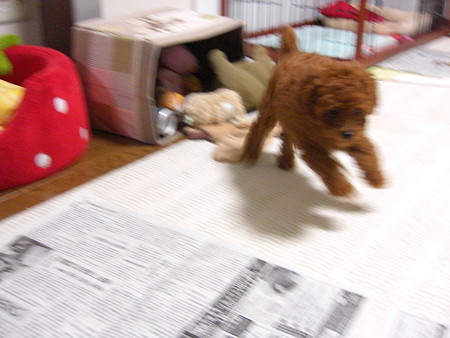 ジャンプできるよ