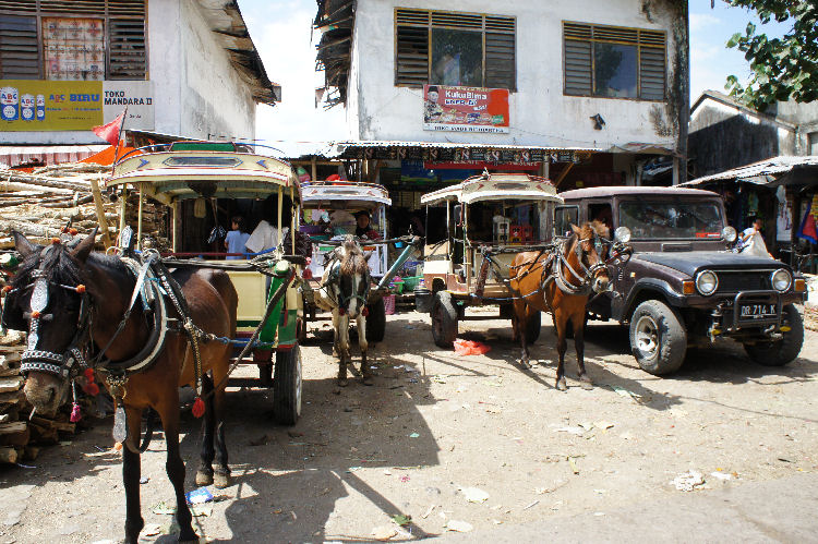 スンギギから南部へ２４