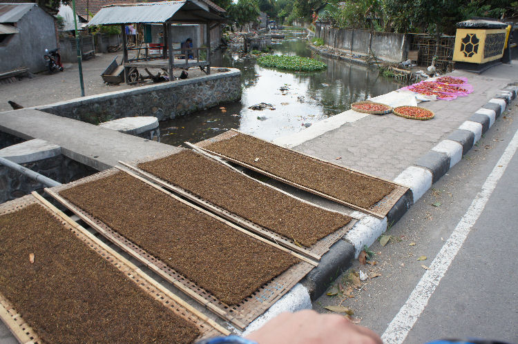 スンギギから南部へ３２