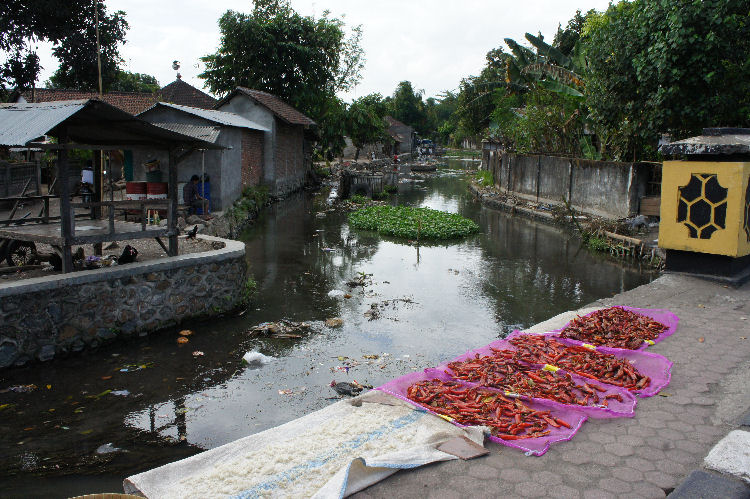 スンギギから南部へ３３