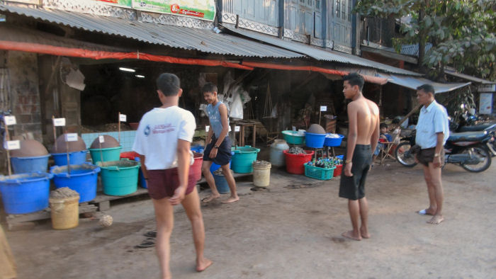 タウングー’１１１２２９・２７１