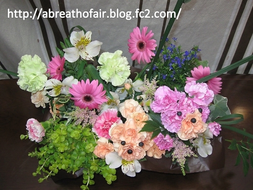 春の詰め合わせ