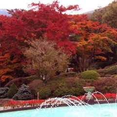 箱根 紅葉スポットの宿