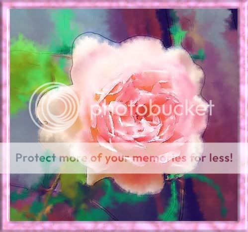 Photobucket - Video and Image Hosting