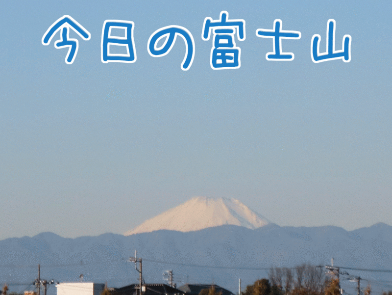 [猫][多頭飼い][里親募集][動物愛護][朝][マジックアワー][富士山][雪][夕日][寒]【猫アニメ】お急ぎくださいにゃ〜！