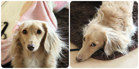 妖気（いえ静電気です）