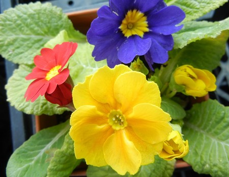 ゆきんこ・13.02.02