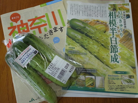 写真: 収穫祭４