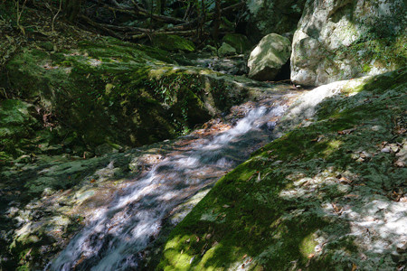 七種山　八龍滝_02