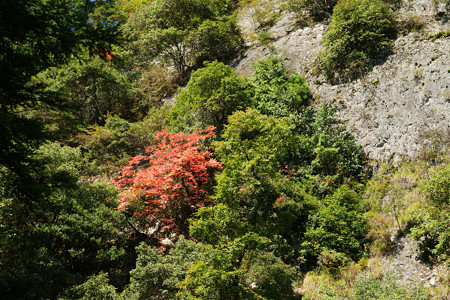七種滝　神社から_05