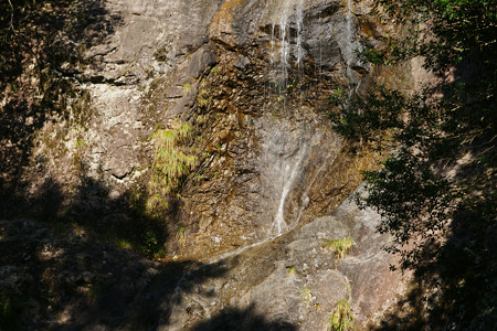 七種滝　神社から_07