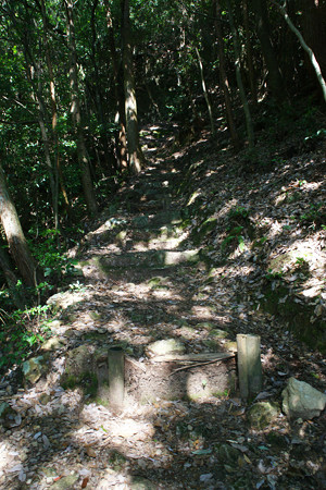 七種滝までの山道
