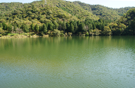 福崎町野外活動センターの池_02