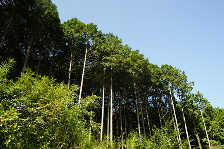 野外活動センターにて