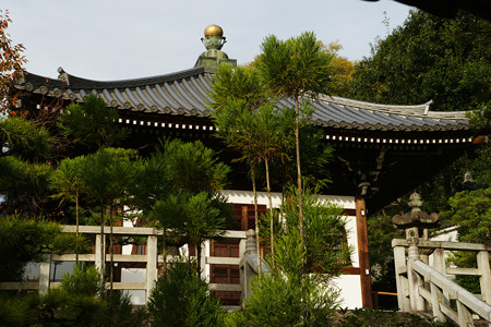 知恩院　権現堂