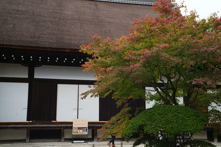 知恩院　小方丈_02