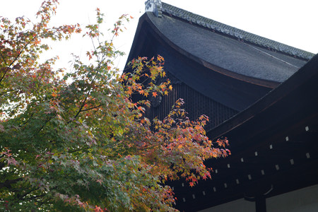 知恩院　大方丈_01