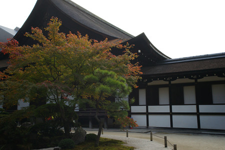 知恩院　大方丈_02