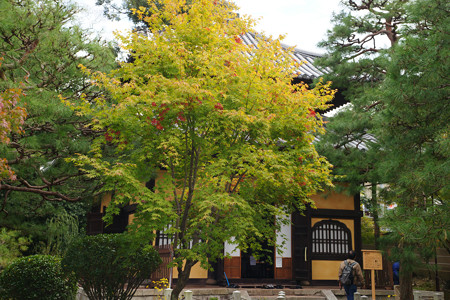 妙法院　普賢堂