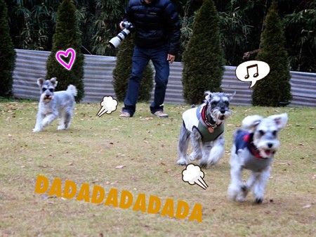 楽しい～☆*:.｡. o(≧▽≦)o .｡.:*☆