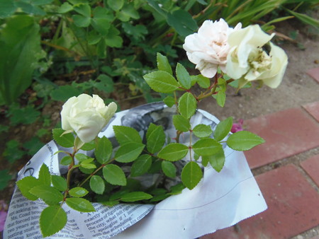 6.4グリーンアイス