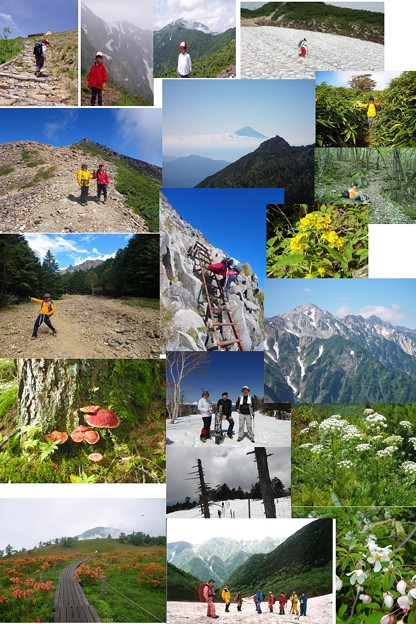 たっ君と山登り