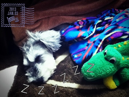 帰宅後はぐっすりお休みなさーい