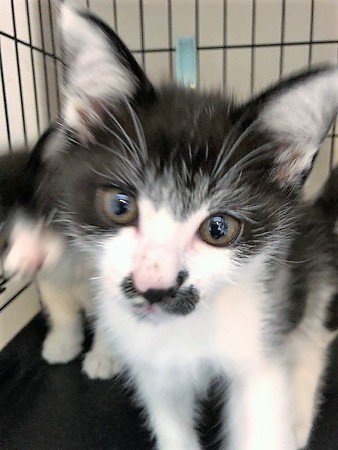 １あられおかき210604２