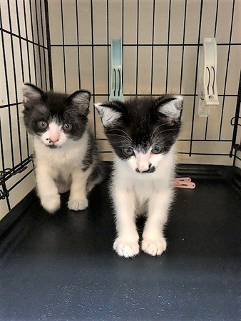 １あられおかき210604３