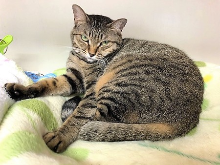 ３ストラ210604２