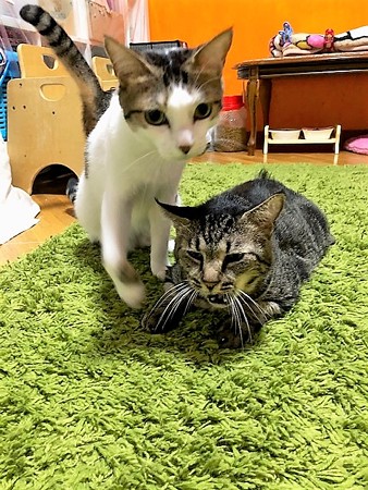 mcあむろじゅん210604１