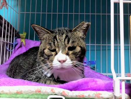 mcおじいちゃん210604