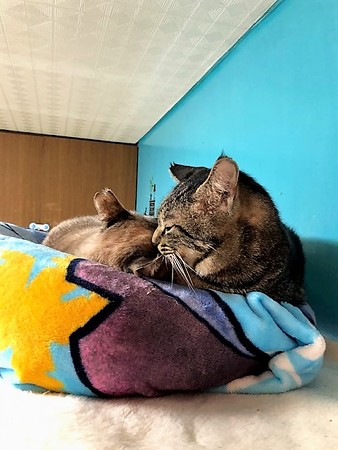 mcじゅんジャム210604１