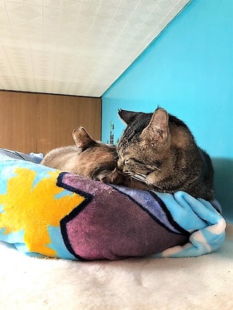 mcじゅんジャム210604２