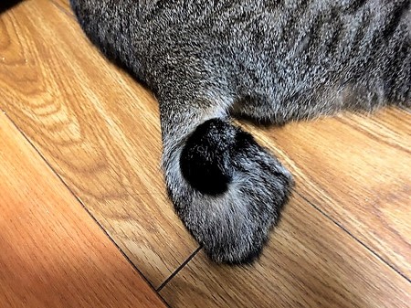 リバニラ210604２