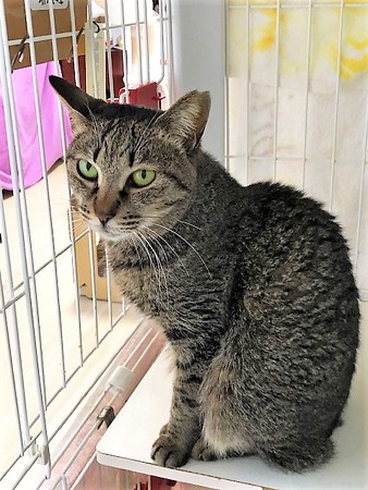 和キャラメル210604