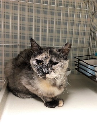 和しーちゃん210604