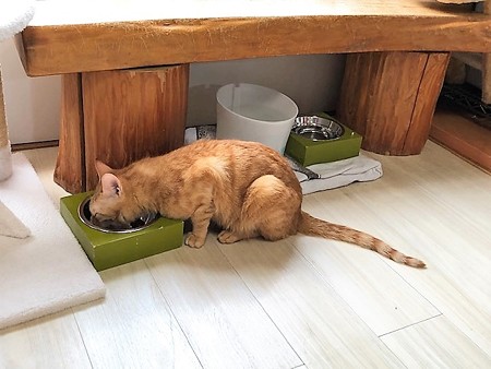 和たいら210604２