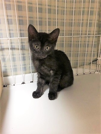 和もぐちゃん210604