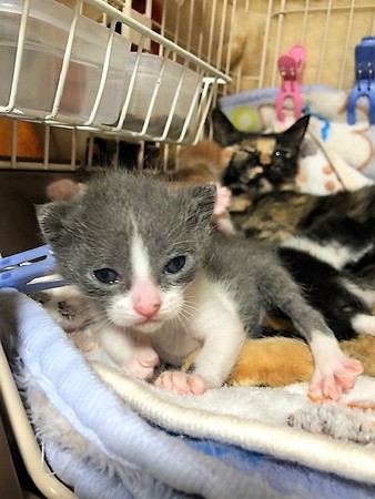 和もろやベビー210604１