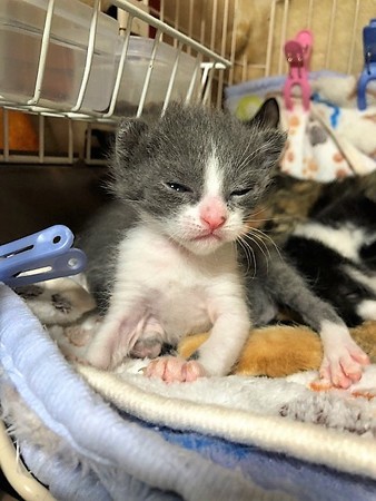 和もろやベビー210604２