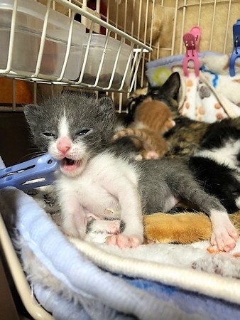 和もろやベビー210604３