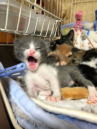 和もろやベビー210604４