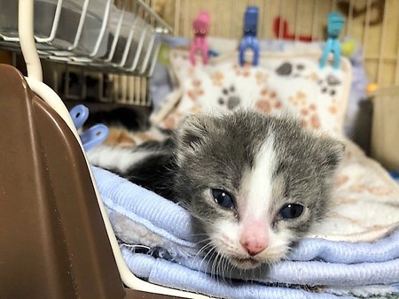 和もろやベビー210604６