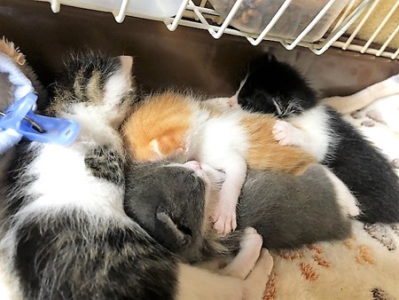 和もろやベビー210604７