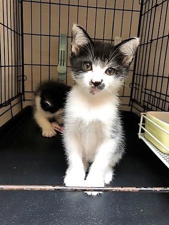 １あられおかき210604７