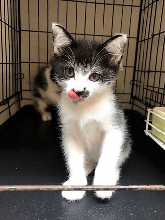 １あられおかき210604８