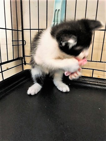 １あられおかき210604９