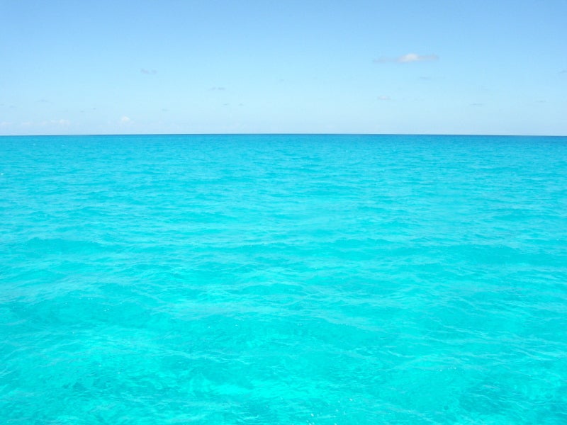 $「いま・ここ」を生きる